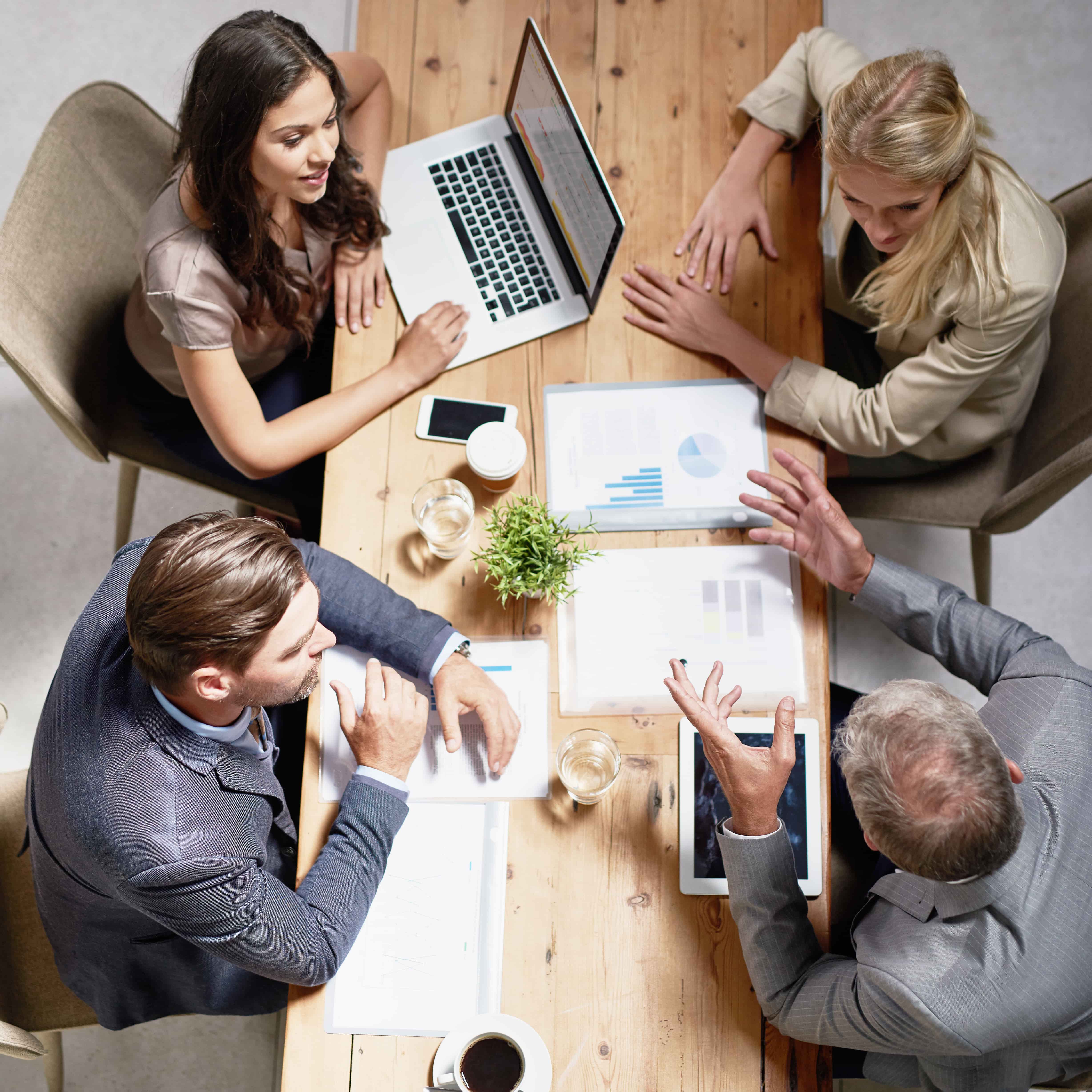 ALT general imagen 5 PLANTSEO